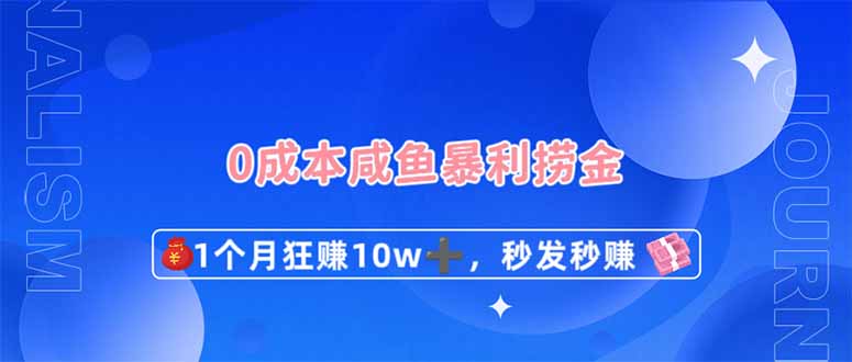（14257期）0成本闲鱼暴利捞金，1个月狂赚10W+，秒发秒赚新玩法-新视界
