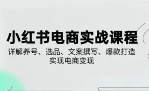 小红书从0-1实操课(2023-2025)，详解养号、选品、文案撰写、爆款打造实现电商变现-新视界