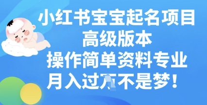 小红书宝宝起名项目高级版本，操作简单，资料专业，月入过W-新视界