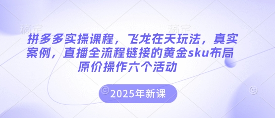 拼多多实操课程，飞龙在天玩法，真实案例，直播全流程链接的黄金sku布局原价操作六个活动-新视界