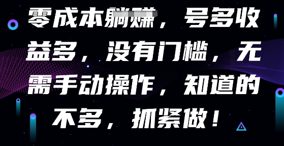零成本全自动，号多收益多，没有门槛，无需手动-新视界