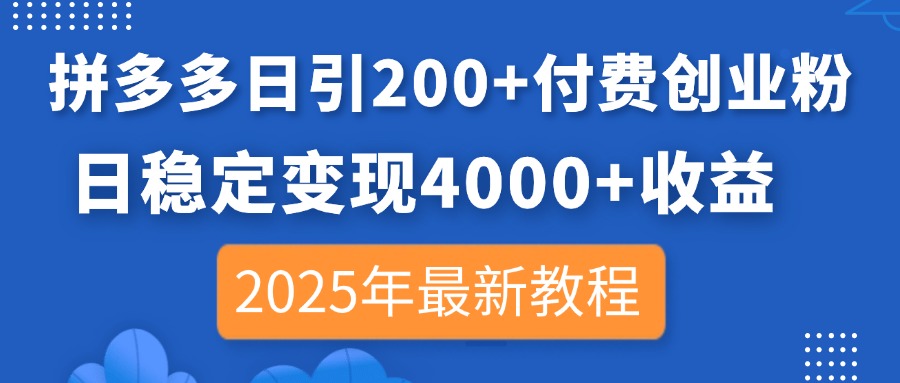 （14217期）拼多多日引200+付费创业粉，日稳定变现4000+收益，2025年最新教程-新视界
