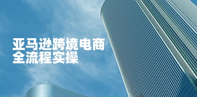 （14252期）亚马逊跨境电商全流程实操，教你从零开始，掌握店铺运营与广告技巧-新视界