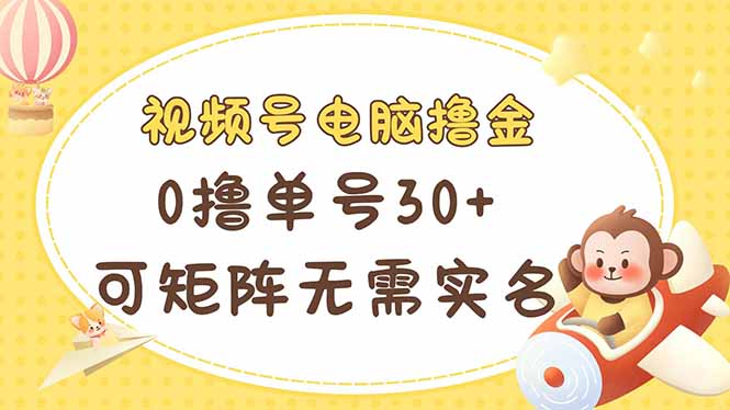 （14220期）视频号电脑撸金 0撸单号30+ 可矩阵 无需实名多号多得-新视界