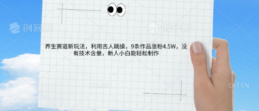 AI养生赛道新玩法，10条作品涨粉5.2W，操作简单，新人小白能轻松制作-新视界