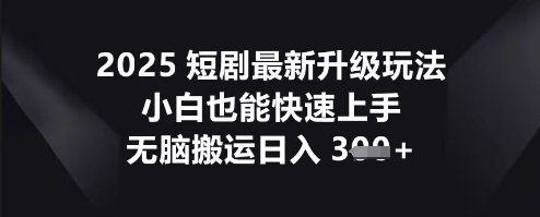 2025短剧最新升级玩法，小白也能快速上手，无脑搬运日入3张-新视界