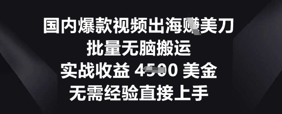 国内爆款视频出海挣美刀，批量无脑搬运，实战收益4.5k，无需经验直接上手-新视界