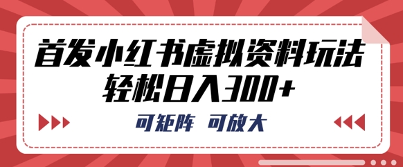 首发小红书虚拟资料玩法，可矩阵，可放大，轻松日入3张-新视界