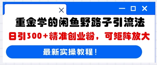 重金学的闲鱼野路子引流法，日引300+精准创业粉，可矩阵放大-新视界
