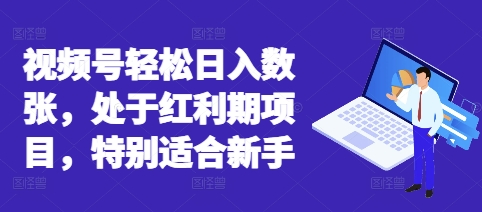 视频号轻松日入数张，处于红利期项目，特别适合新手-新视界