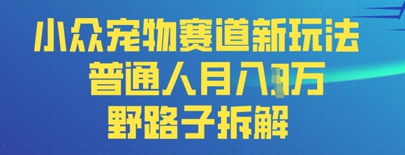 小众宠物赛道新玩法，普通人月入过1W的野路子拆解-新视界