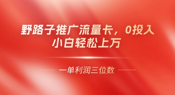 0门槛推广流量卡，一单收益上百，0投入，小白月入过W-新视界