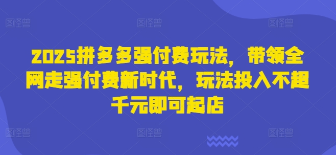 2025拼多多强付费玩法，带领全网走强付费新时代，玩法投入不超千元即可起店-新视界