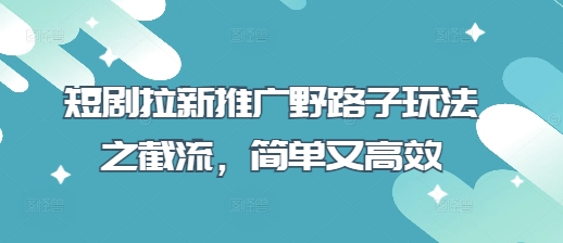 短剧拉新推广野路子玩法之截流，简单又高效-新视界