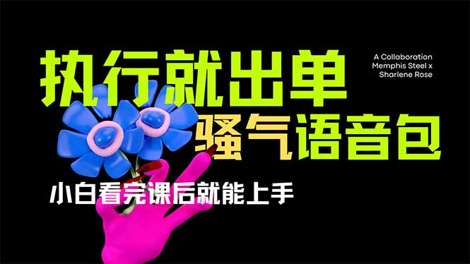 （14170期）爆火全网的开车导航骚气语音包,只要执行就出单，小白看完课程就能实操…-新视界