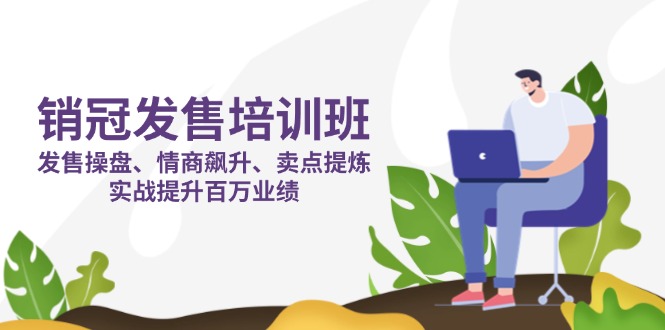 （14203期）销冠 发售培训班：发售 操盘+情商 飙升+卖点 提炼，实战提升百万业绩-新视界