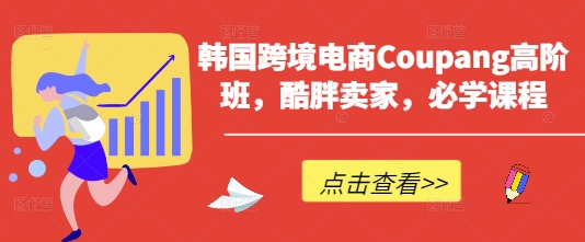 韩国跨境电商Coupang高阶班，酷胖卖家，必学课程-新视界