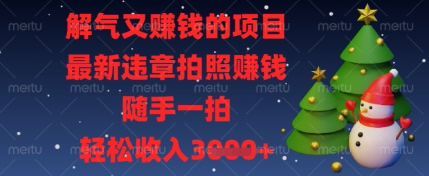 解气又挣钱的项目，最新违章拍照挣钱，随手一拍，轻松收入数张【揭秘】-新视界
