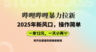 哔哩哔哩暴力拉新：2025年新风口，一单12元，一天数张(附开白渠道和保姆级教程)-新视界